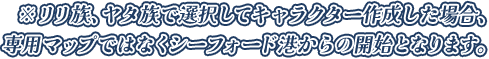 ※リリ族、ヤタ族で選択してキャラクター作成した場合、専用マップではなくシーフォード港からの開始となります。