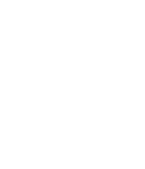 Thank You! 12th ANNIVERSARY CELEBRATION