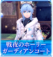 戦夜のホーリーガーディアンコート